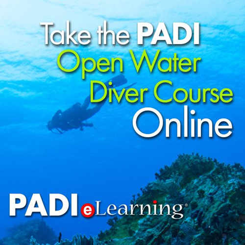 PADI Open Water Diver eLearning Code